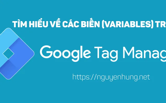 Hiểu rõ hơn về các biến (variables) trong Google Tag Manager