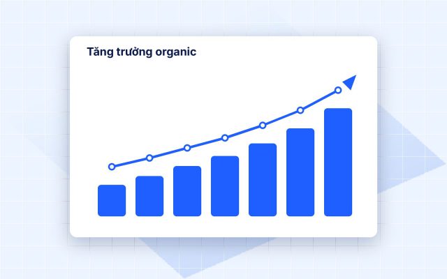 SEO tổng thể là gì? Hướng dẫn từ A–Z cho doanh nghiệp